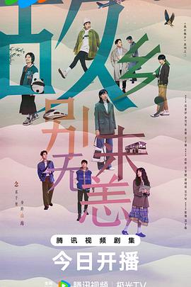 西城企业网站优化哪家好